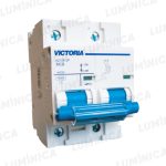 Breaker Victoria LED de Corriente Alterna 10K 2 Polos 100A